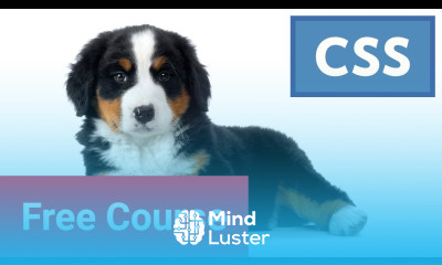 Learn CSS Colors and Backgrounds