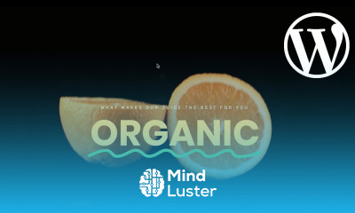 Learn How to Build a WordPress Website With Elementor Part 2 - Mind Luster