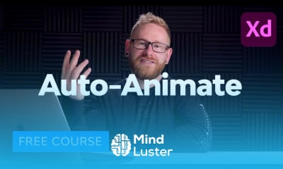 Adobe XD Auto Animate From Beginner to Advanced