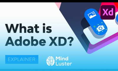 What Is Adobe XD