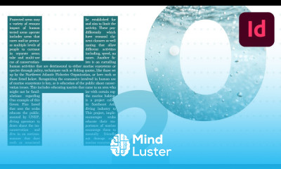 Learn Create a Custom Text Box Using Type and InDesign - Mind Luster