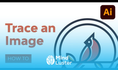 How to Trace an Image in Illustrator