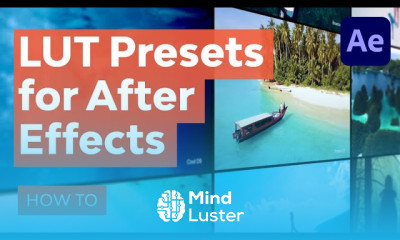 How to Apply Creative Color Styling Fast With LUT Presets After Effects Tutorial