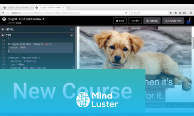 3 CSS Grid Projects for Web Designers Course Trailer