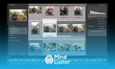 Learn All About Stacks in Adobe Photoshop Lightroom - Mind Luster