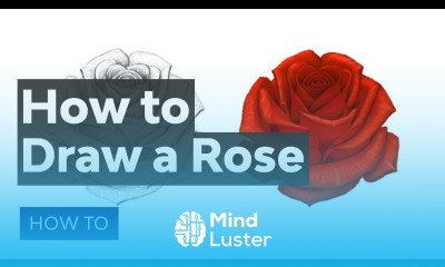How to Draw a Rose