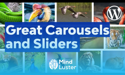 5 Tips for Great WordPress Carousels and Sliders