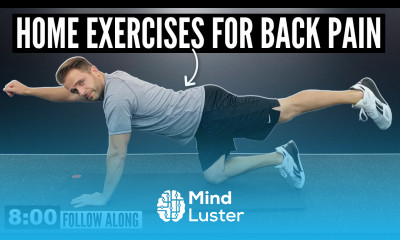8 Minute Home Exercise Routine For Back Pain FOLLOW ALONG