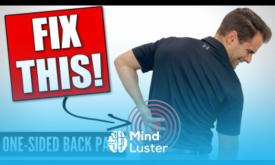 How To Fix Lower Back Pain On One Side Home Exercises