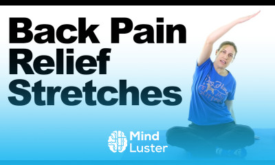 Back Pain Relief Stretches – 5 Minute Real Time Routine