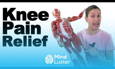 10 Best Knee Stretches for Knee Pain Relief – Ask Doctor Jo