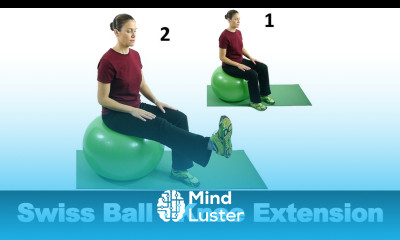 Swiss Ball Knee Extension Ask Doctor Jo