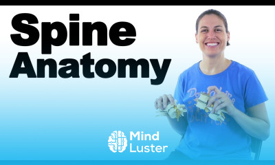 Spine Anatomy Disc Degeneration Ask Doctor Jo