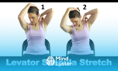 Levator Scapula Stretch Ask Doctor Jo