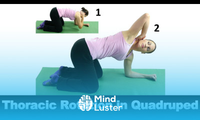 Thoracic Rotation in Quadruped Ask Doctor Jo