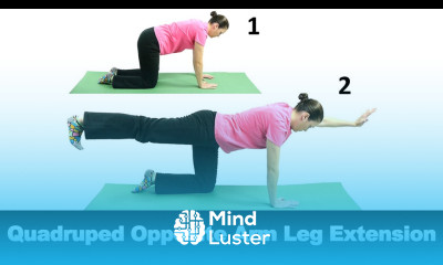 Quadruped Opposite Arm Leg Extension Ask Doctor Jo