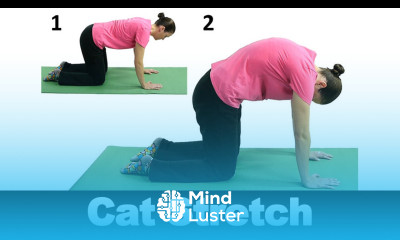 Cat Stretch Ask Doctor Jo
