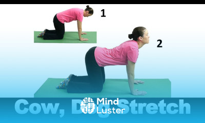 Cow Dog Stretch Ask Doctor Jo