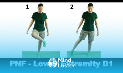 PNF Lower Extremity D1 Ask Doctor Jo