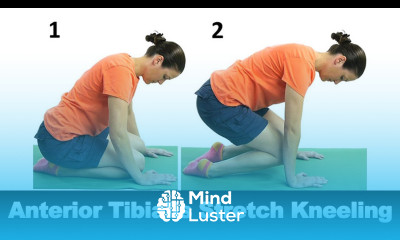 Anterior Tibialis Stretch Kneeling Ask Doctor Jo