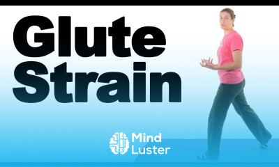 Gluteus Maximus Glute Strain Stretches Exercises Ask Doctor Jo