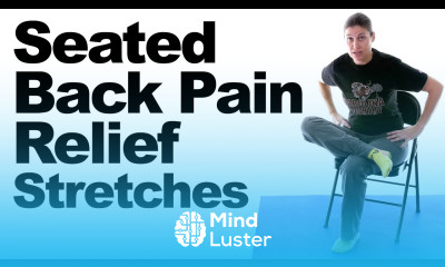 Seated Back Pain Relief Stretches
