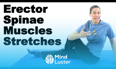 Erector Spinae Muscles Stretches Ask Doctor Jo