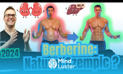 Berberine Nature s Ozempic Benefits Weight Loss Side Effects