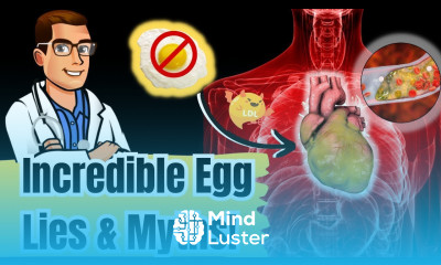 The BIG LIES About Eggs Cholesterol