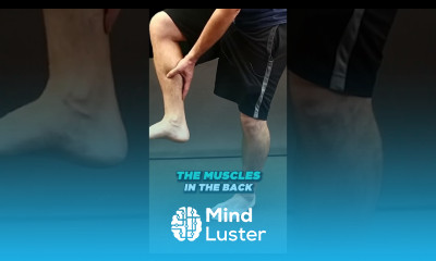 Do bunion correctors work How I cured my bunions naturally