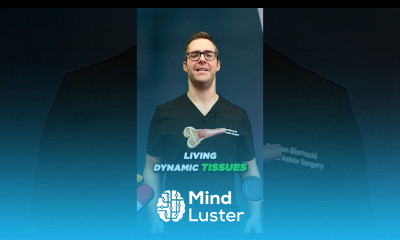 Osteoporosis vs Osteoarthritis vs Joint PAIN What are Osteoblasts vs Osteoclasts