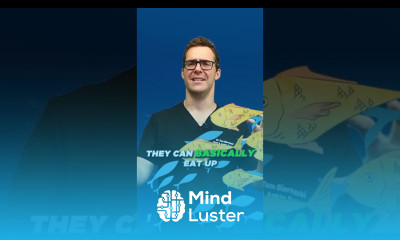 Is mackerel good for you Is king mackerel good to eat