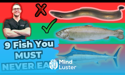 9 WORST Fish To Eat Eat these 3 BEST Healthy Fish INSTEAD