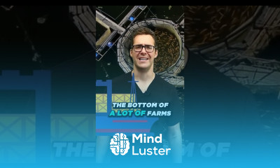 9 Worst Fish To Eat High Mercury Fish Why Do Fish Have Mercury