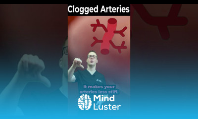 L Arginine Benefits Side Effects Supplements Best Foods