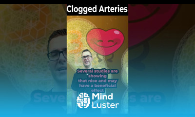 Vitamin B3 Benefits Niacin Benefits Flush Side Effects