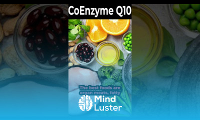 Coenzyme q10 Benefits Supplements Best Foods Side Effects