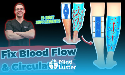 BEST 15 Supplements Blood Flow Circulation Feet Legs Heart