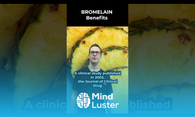 Bromeilain Benefits Quercetin Supplements Dosage Side Effects