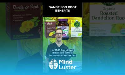 Dandelion Root Benefits Side Effects Pills Powder Roasted Tea