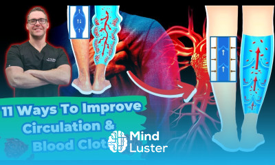 How To FIX Blood Flow Circulation Heart Arteries Legs Feet