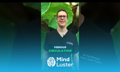 How to Improve Circulation in Feet Legs Toes FIX Swollen Feet