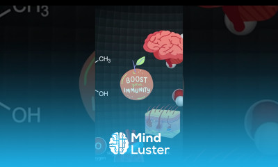 Vitamin B6 Benefits Best Foods Deficiency Symptoms