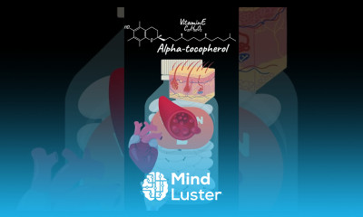 What is Vitamin E Good For Benefits Best Foods Skin Sources