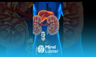 Curcumin Turmeric Benefits Side Effects Good for You