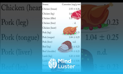 L Carnosine Benefits Best Foods Side Effects