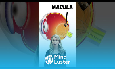 BEST Food for Eyes Lutein and Zeaxanthin