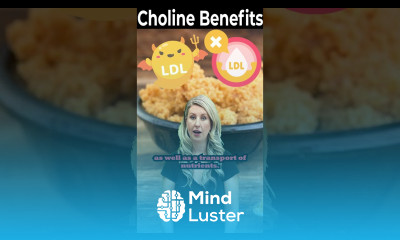 What is Choline Best Choline Foods Supplements Choline Benefits