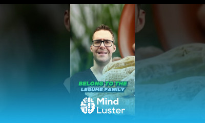 Best nuts for weight loss Best nuts to eat for diabetics keto