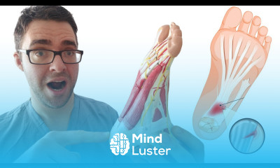 7 LIES about Plantar Fasciitis Morning Heel Pain Treatment